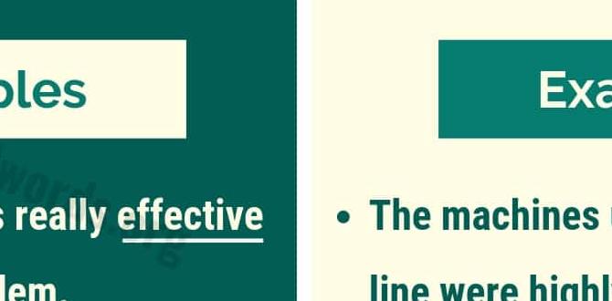 Efficient watering strategies gardening tips for small spaces Efficient watering strategies gardening tips for small spaces