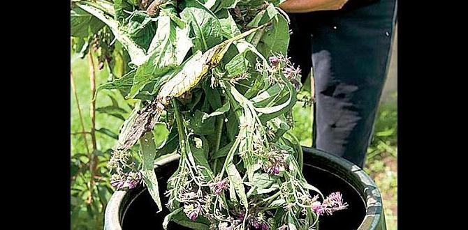 Environmental considerations when using potassium potassium for gardening Environmental considerations when using potassium potassium for gardening