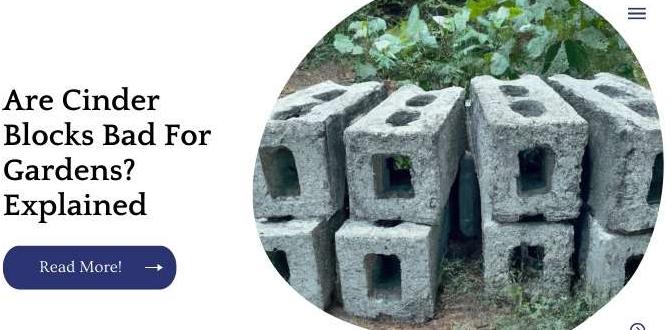 Environmental impact of using cinder blocks cinder blocks for gardens Environmental impact of using cinder blocks cinder blocks for gardens
