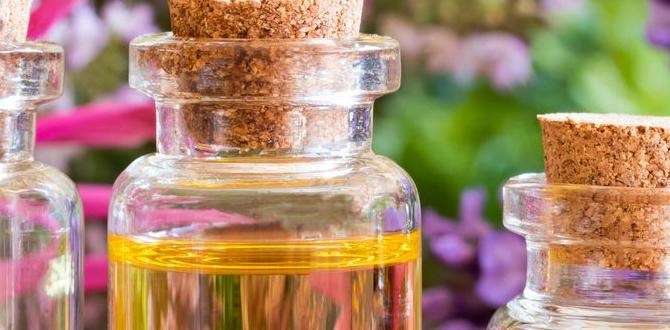 Essential tools and materials container gardening for beginners Essential tools and materials container gardening for beginners