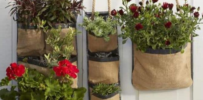 Frequently asked questions about burlap in gardening burlap for gardens Frequently asked questions about burlap in gardening burlap for gardens