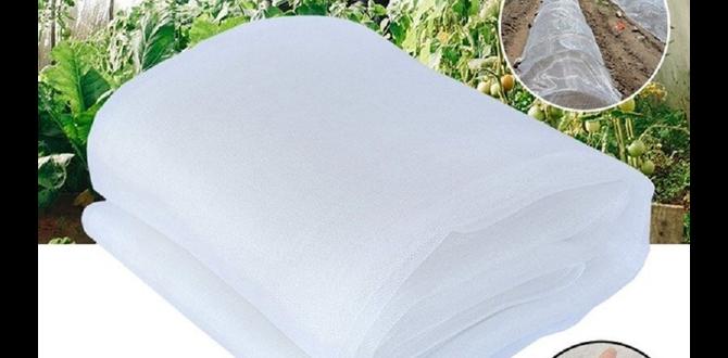 Frequently asked questions about insect netting insect netting for vegetable gardens Frequently asked questions about insect netting insect netting for vegetable gardens