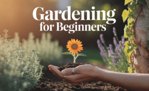 Gardening For Beginners