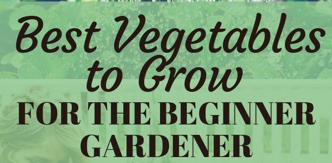 Growing conditions and requirements best vegetables for beginner gardeners Growing conditions and requirements best vegetables for beginner gardeners