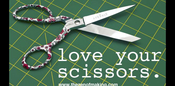 How to properly maintain your big scissors big scissors for gardening