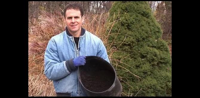 How to properly use composted manure in your garden is composted manure good for vegetable gardens