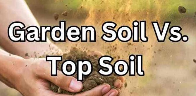 How to select quality top soil is top soil good for gardening How to select quality top soil is top soil good for gardening