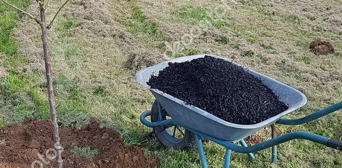 How to use biochar in your garden biochar for gardening How to use biochar in your garden biochar for gardening