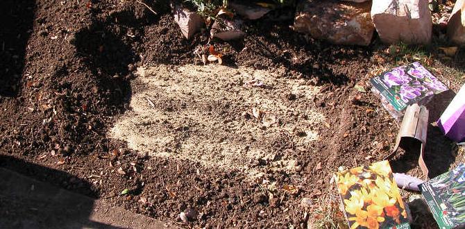 How to use bone meal in your garden bone meal for gardening How to use bone meal in your garden bone meal for gardening