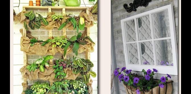 How to use burlap in your garden burlap for gardens How to use burlap in your garden burlap for gardens