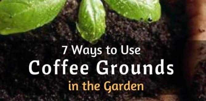 How to use coffee grounds in your garden are coffee grounds good for gardens How to use coffee grounds in your garden are coffee grounds good for gardens