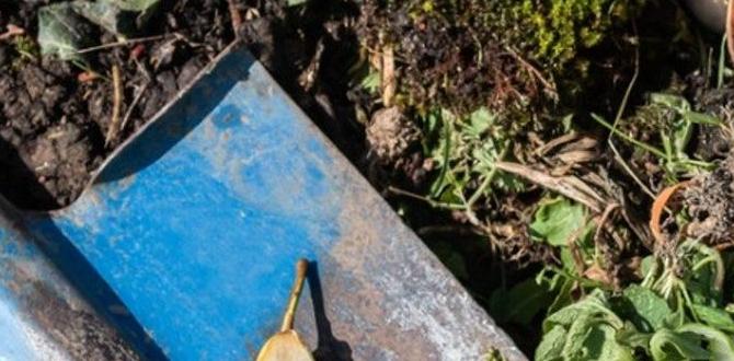 How to use finished compost in your garden composting for gardening