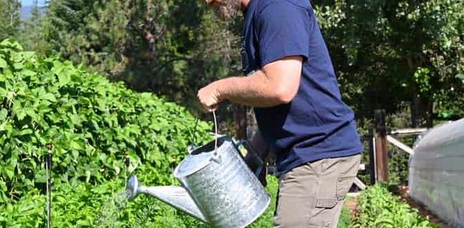 Implementing a watering schedule steps for gardens Implementing a watering schedule steps for gardens