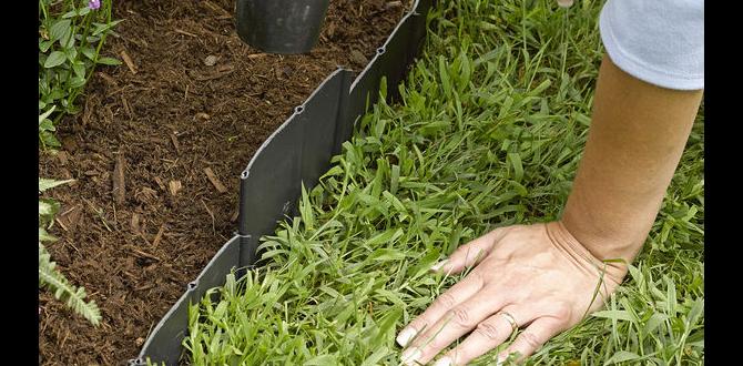 Installation process of pound in edging pound in edging for gardens