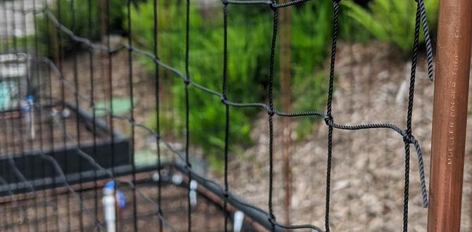 Maintenance and care for garden netting netting for gardens Maintenance and care for garden netting netting for gardens