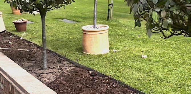 Maintenance tips for garden edging pound in edging for gardens