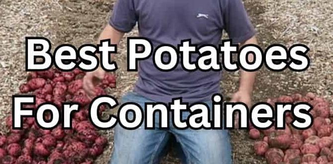 Managing growth and pests container gardening for potatoes