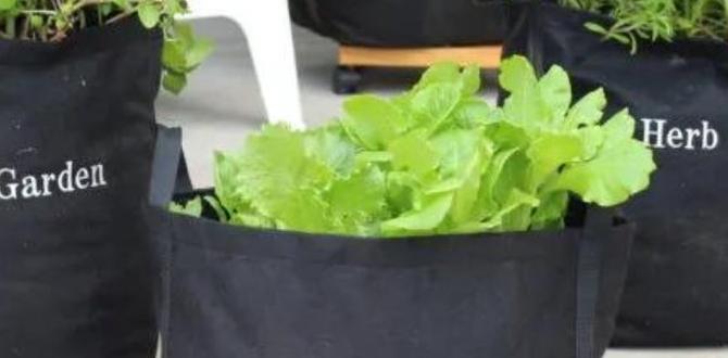 Pest management in container gardens container gardening for beginners Pest management in container gardens container gardening for beginners