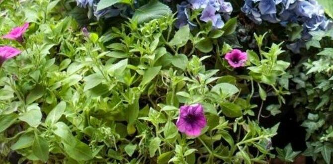 Pest management in shaded container gardens container gardening for shade Pest management in shaded container gardens container gardening for shade