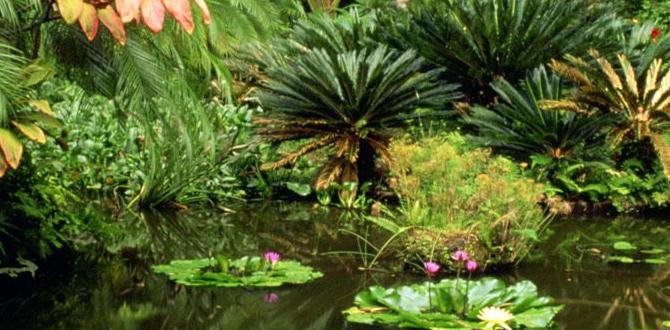 Plants that complement each other colour schemes for gardens Plants that complement each other colour schemes for gardens