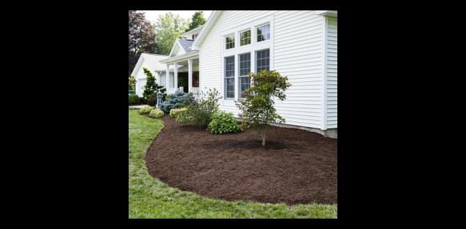 Potential risks of using colored mulch is colored mulch safe for vegetable gardens
