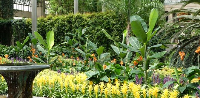 Recommended resources for weather updates weather for longwood gardens Recommended resources for weather updates weather for longwood gardens