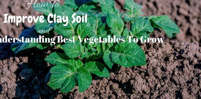 Understanding clay soil how do you improve clay soil for gardening Understanding clay soil how do you improve clay soil for gardening