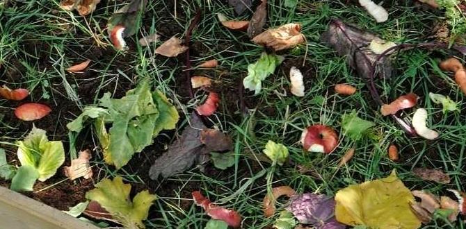 Understanding soil and composting techniques home gardening for beginners Understanding soil and composting techniques home gardening for beginners
