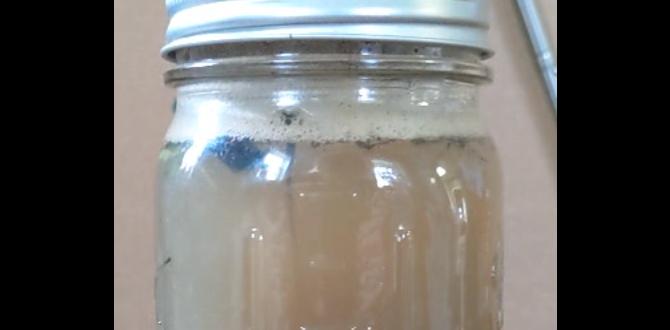 Understanding soil composition how to test your soil for gardening Understanding soil composition how to test your soil for gardening