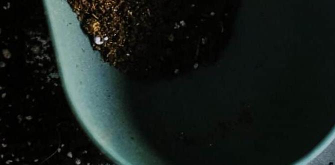 Understanding soil types how to prepare soil for gardening Understanding soil types how to prepare soil for gardening