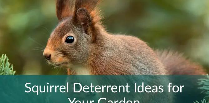 Understanding squirrel behavior deterrent for squirrels in gardens Understanding squirrel behavior deterrent for squirrels in gardens