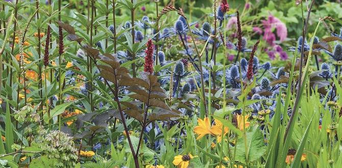 Utilizing color and texture gardening ideas for small gardens Utilizing color and texture gardening ideas for small gardens