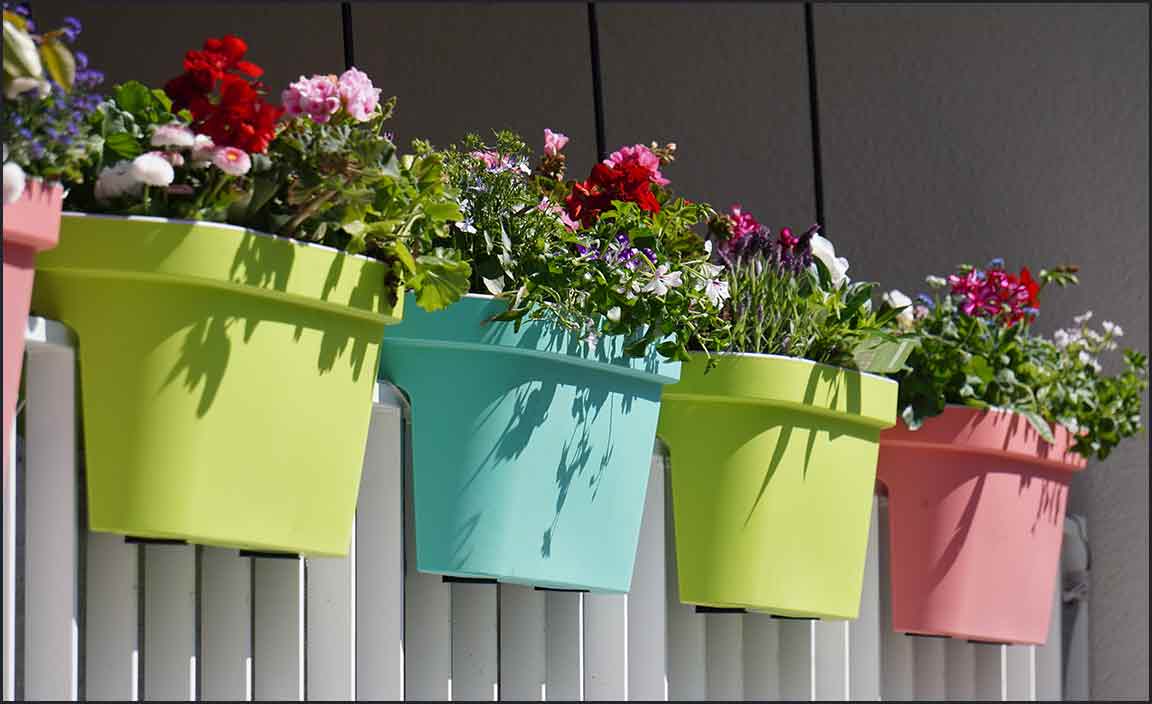 Common Challenges in Container Gardening