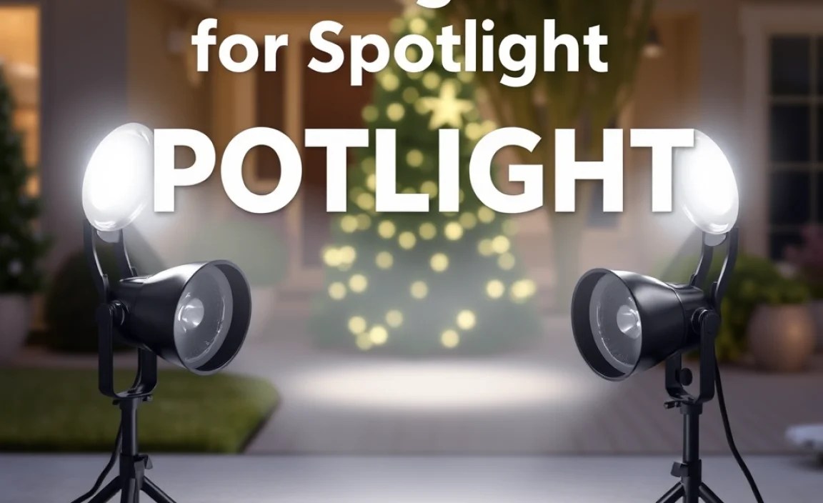 Beam Angles and Coverage for Spotlights