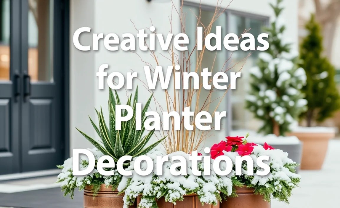 Creative Ideas for Winter Planter Decorations