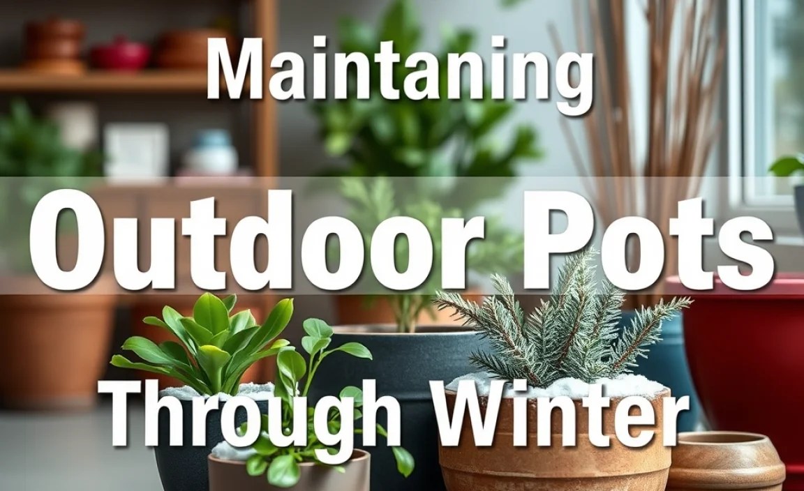 Maintaining Outdoor Pots Through Winter