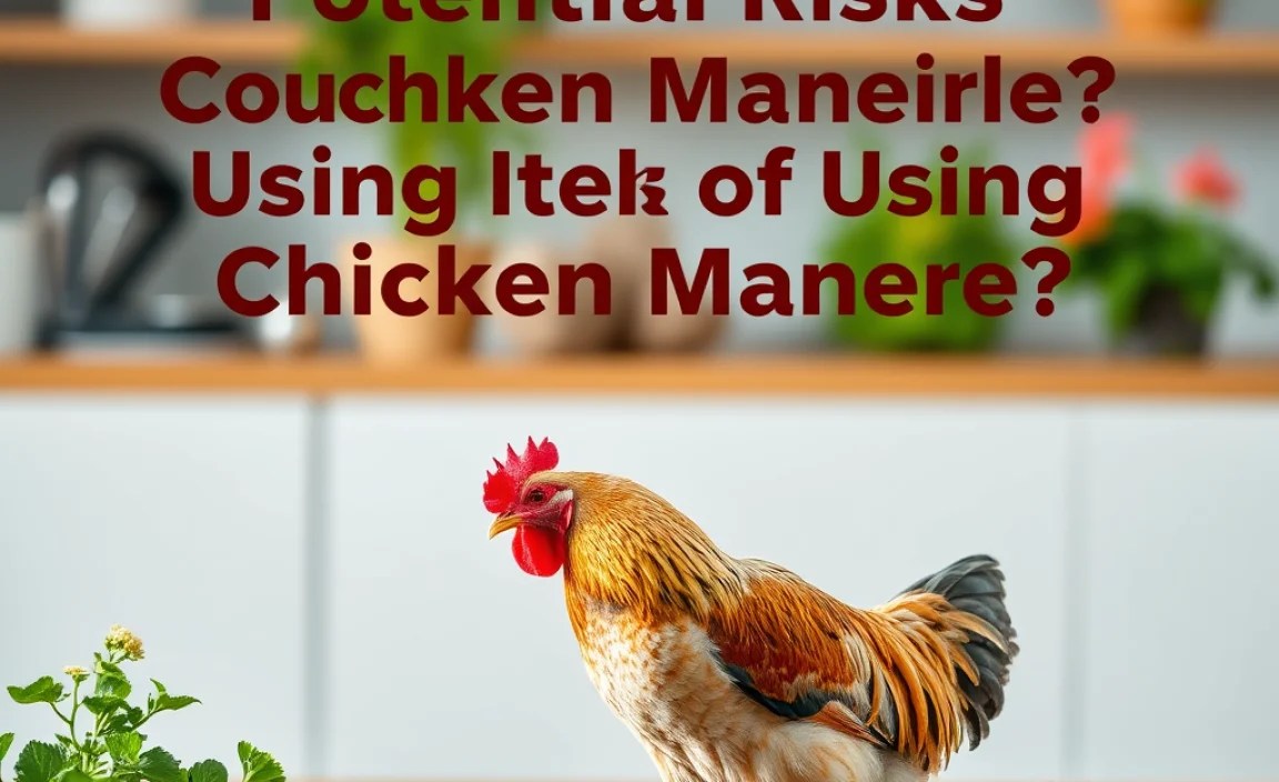 Potential Risks of Using Chicken Manure