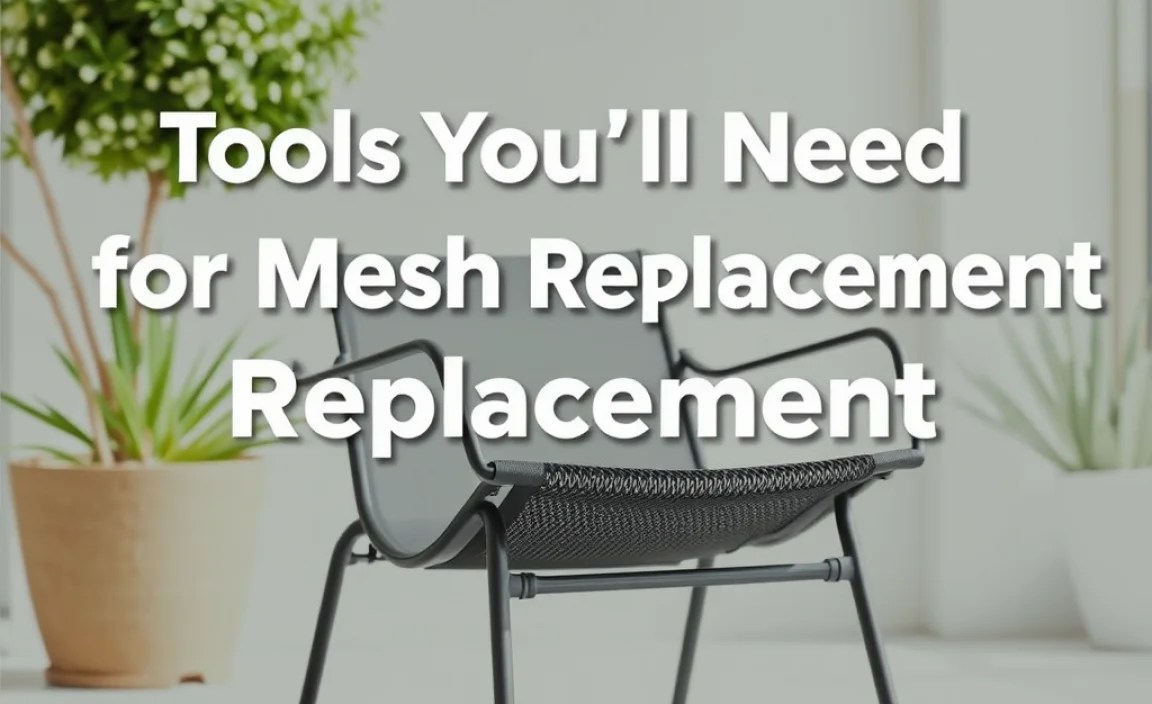 Tools You'll Need for Mesh Replacement