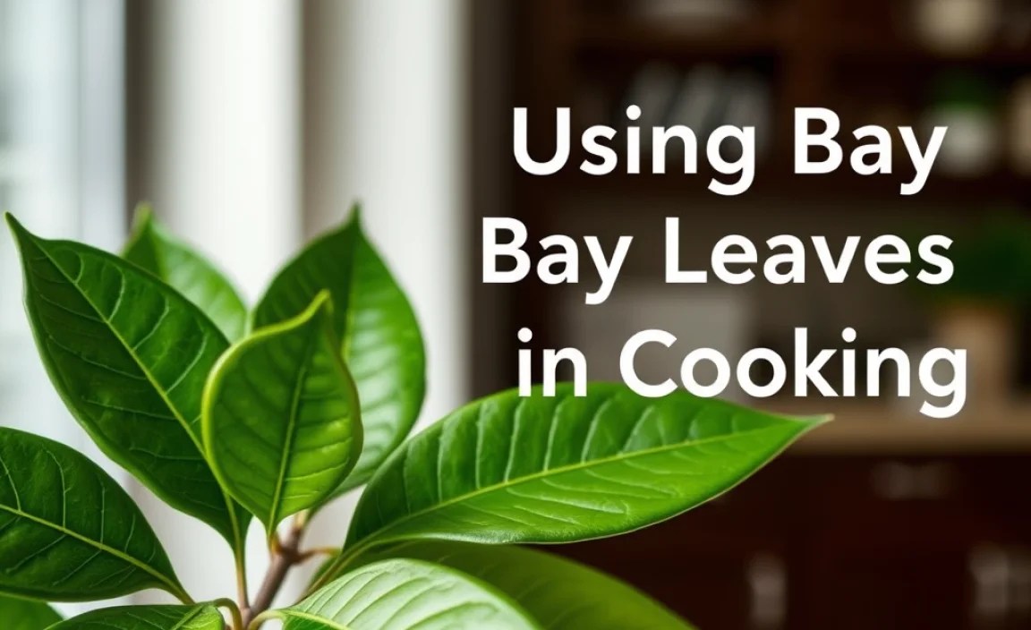Using Bay Leaves in Cooking