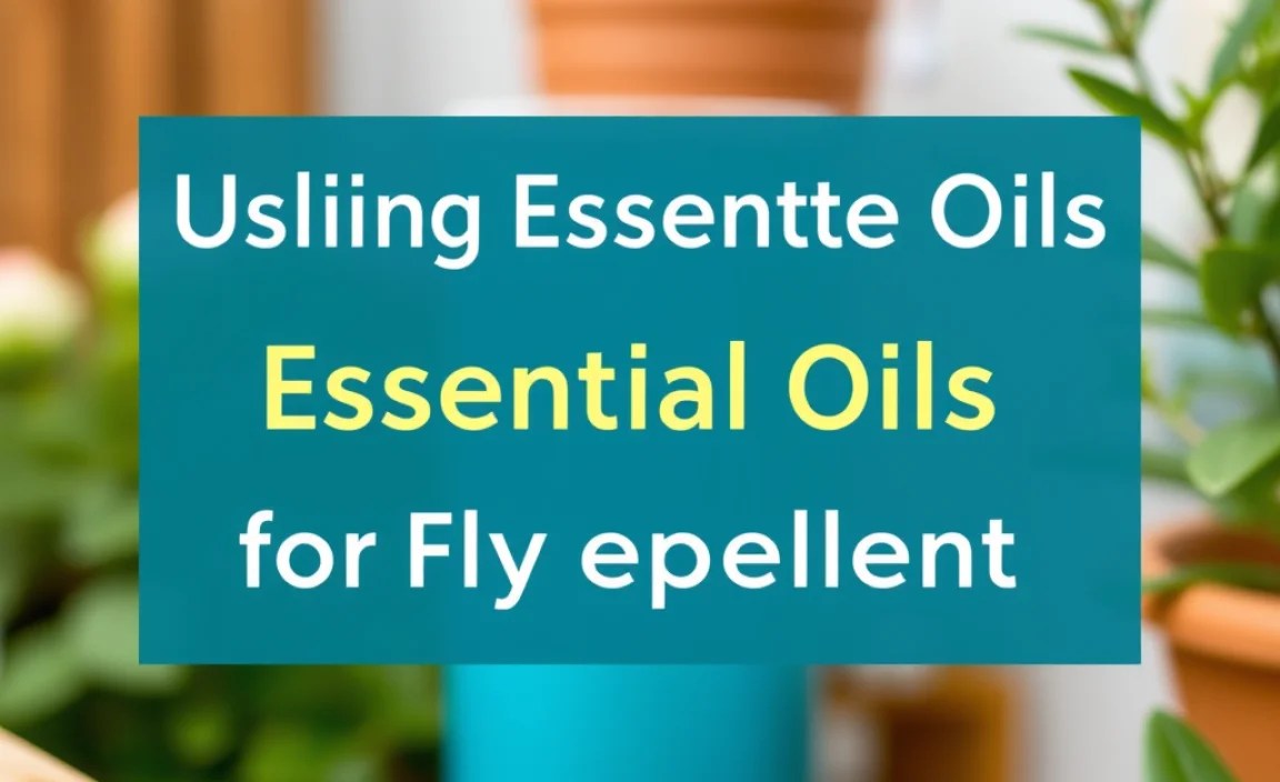 Using Essential Oils for Fly Repellent