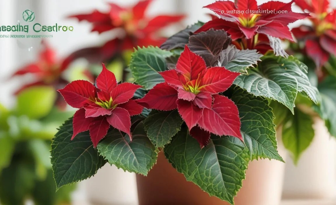 Temperature and Humidity Needs