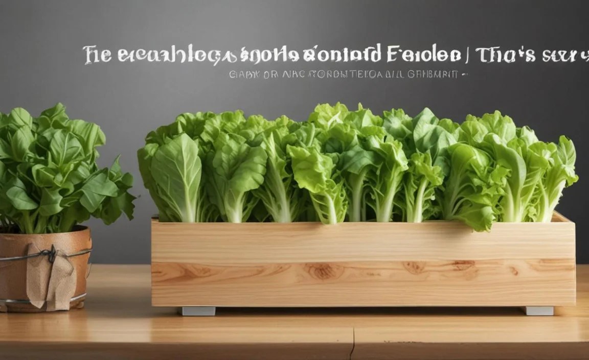 Troubleshooting Common Lettuce Problems