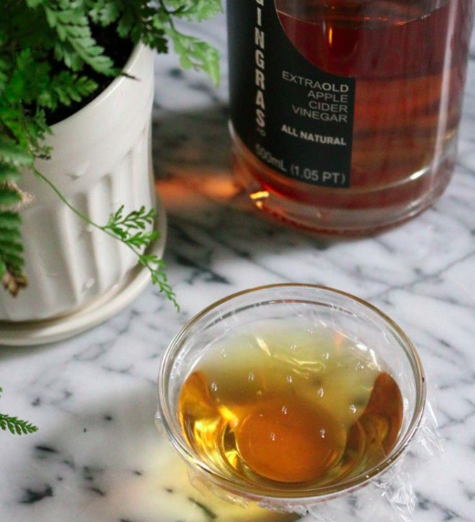 5 Ultimate Solutions To Get Rid Of Fungus Gnats EcoPlantera