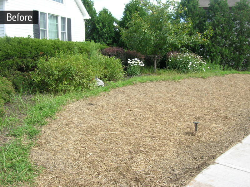Eco Quality Landscaping, LLC