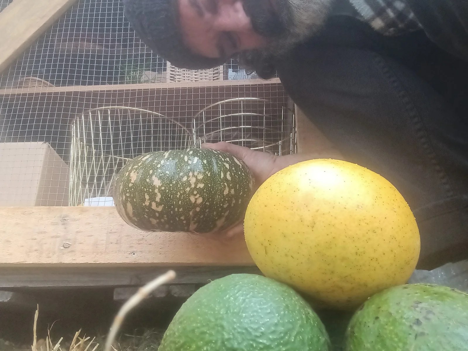 Mt Tamborine Food Exchange EcoRadio
