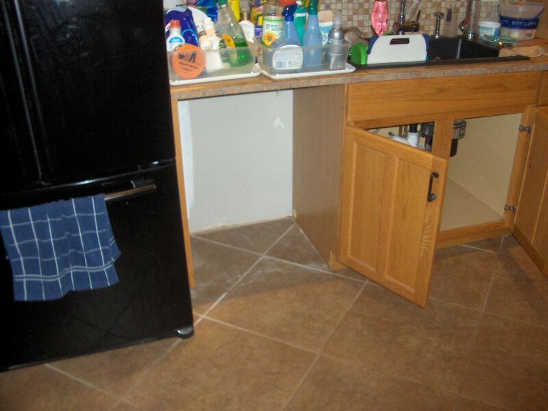 time for a new dishwasher EcoRenovator