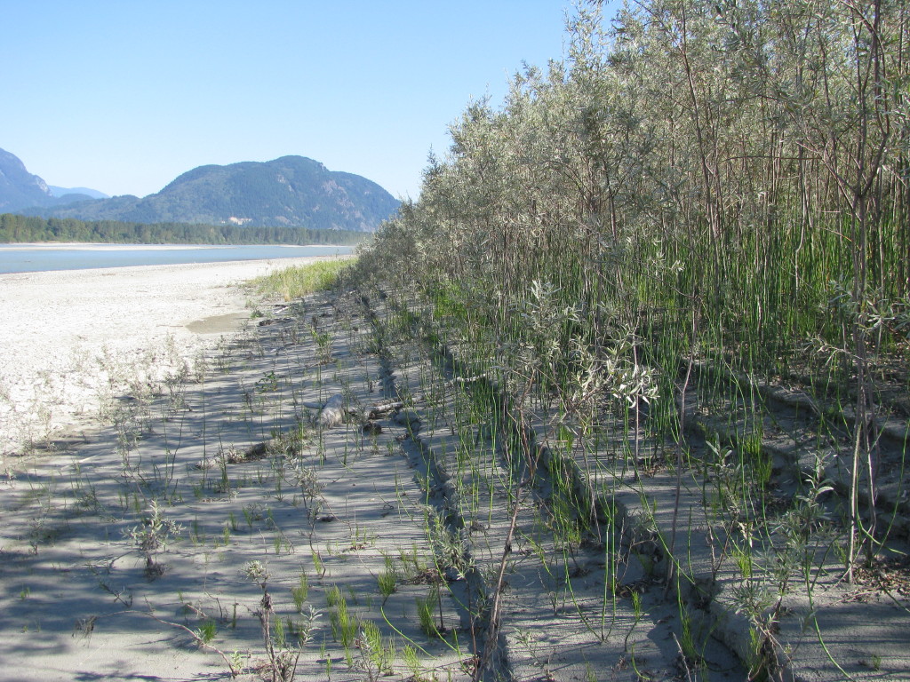 Fraser River ER 76 Management Statement Friends of Ecological Reserves