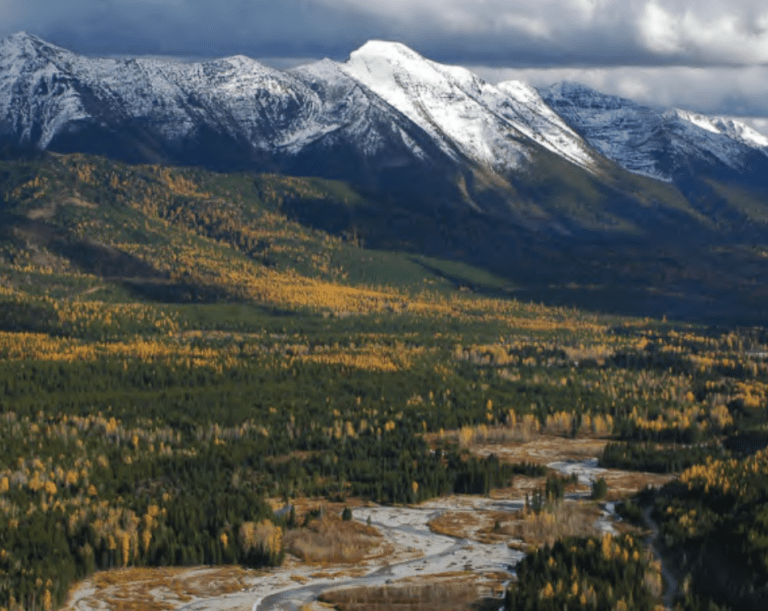 Conservation Options for the Elk and Flathead Valleys and The Proposed