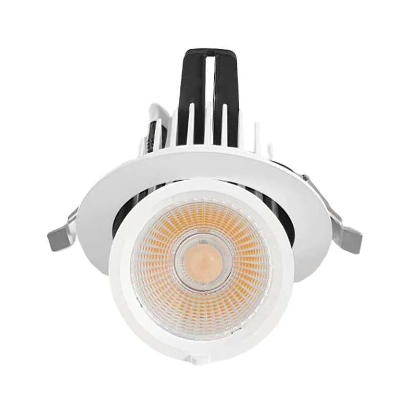 Gimbal LED Downlight B Series ECORUN LED LIGHTING