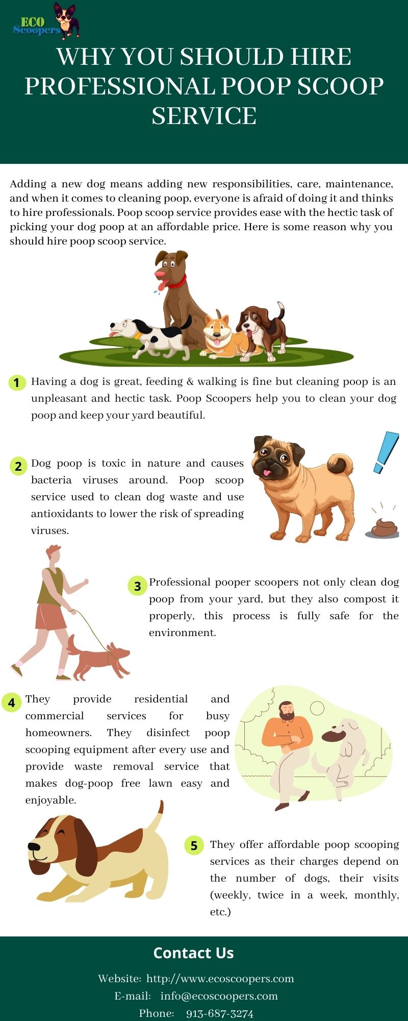 Why You Should Hire Professional Poop Scoop Service Ecoscoopers